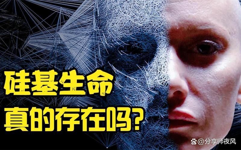 宇宙中除了碳基生命，是否还存在其他生命形式？